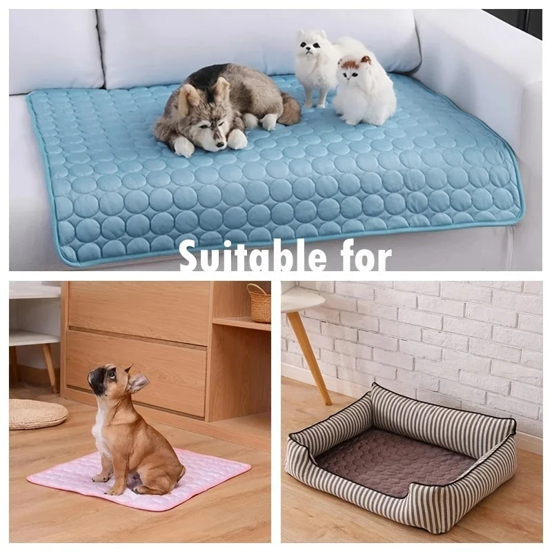 Kylande Matta för Hund & Katt – Extra Stor & Tålig