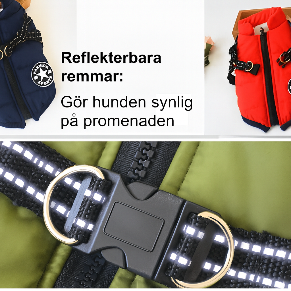 Vattentät Vinterjacka till Hund med Integrerad Sele – Varm, Bekväm och Justerbar