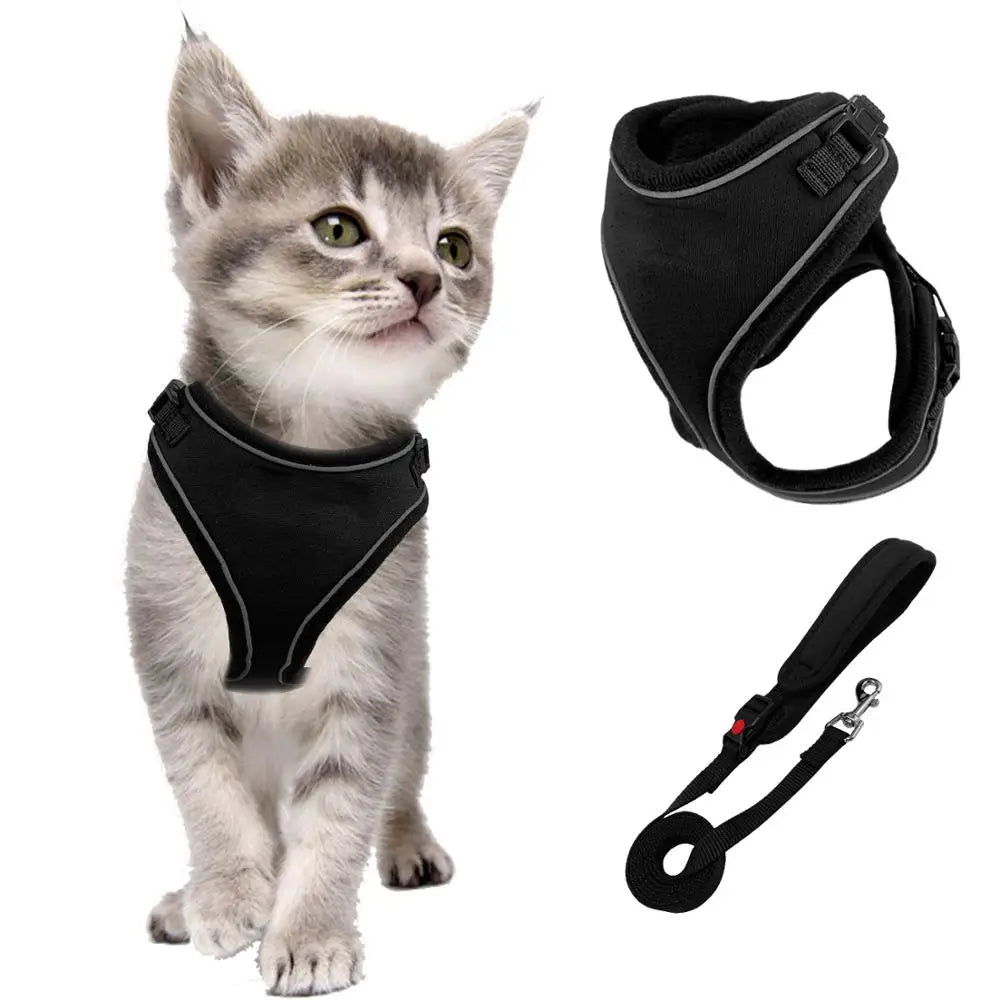 Lätt och Bekväm Kattsele med Koppel – Rymsäker med Reflex och Stötdämpning
