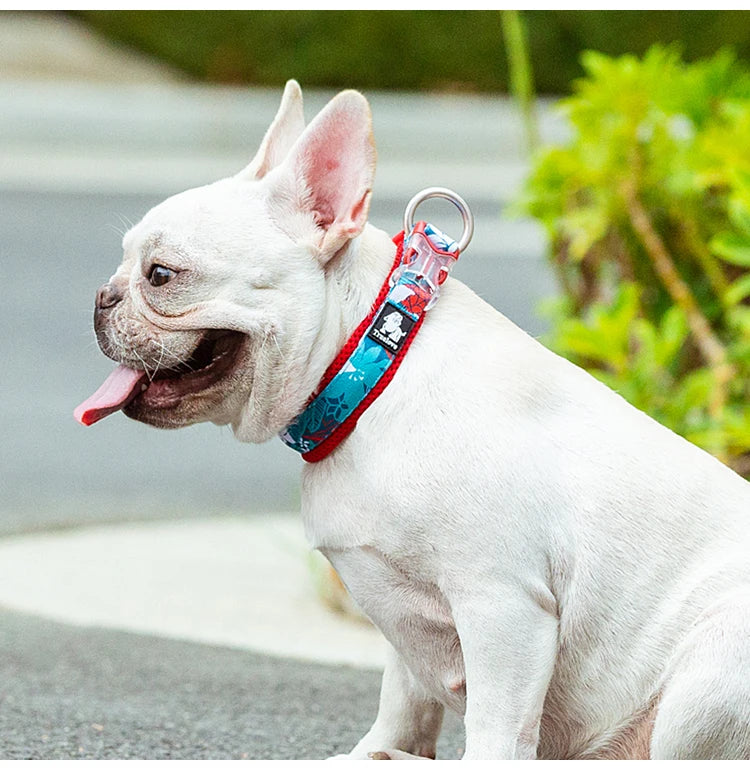 Blommigt och Vadderat Hundhalsband – Stilrent, Slitstarkt och Bekvämt