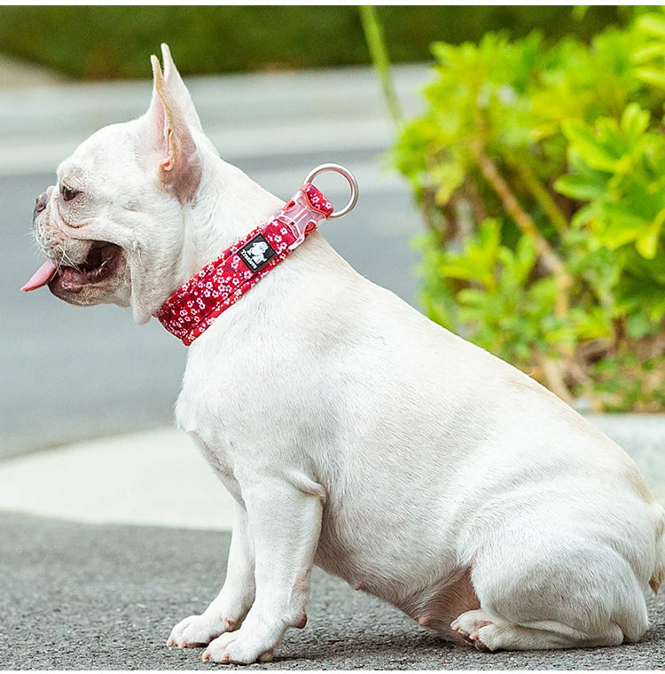 Blommigt och Vadderat Hundhalsband – Stilrent, Slitstarkt och Bekvämt