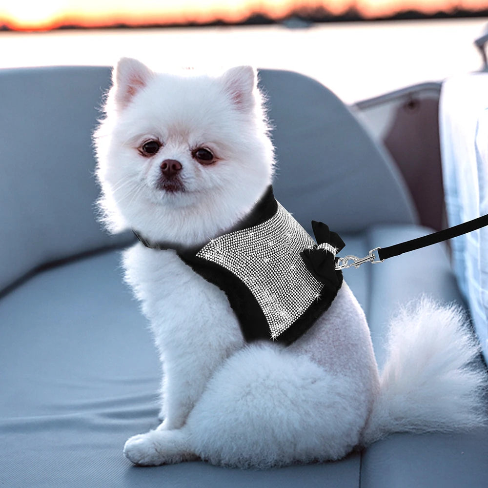 Elegant Vintersele med Strass för Små Hundar och Katter
