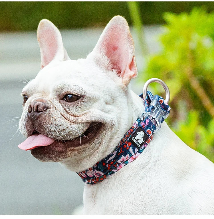 Blommigt och Vadderat Hundhalsband – Stilrent, Slitstarkt och Bekvämt