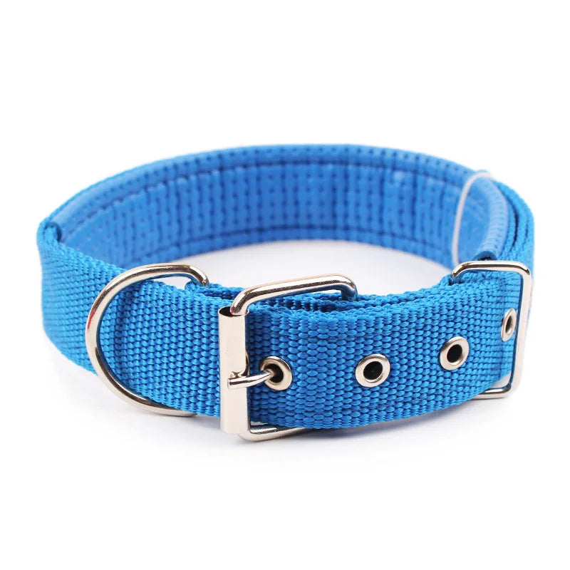 Slitstarkt Nylonhalsband för Hund – Justerbart & Bekvämt för Alla Storleka