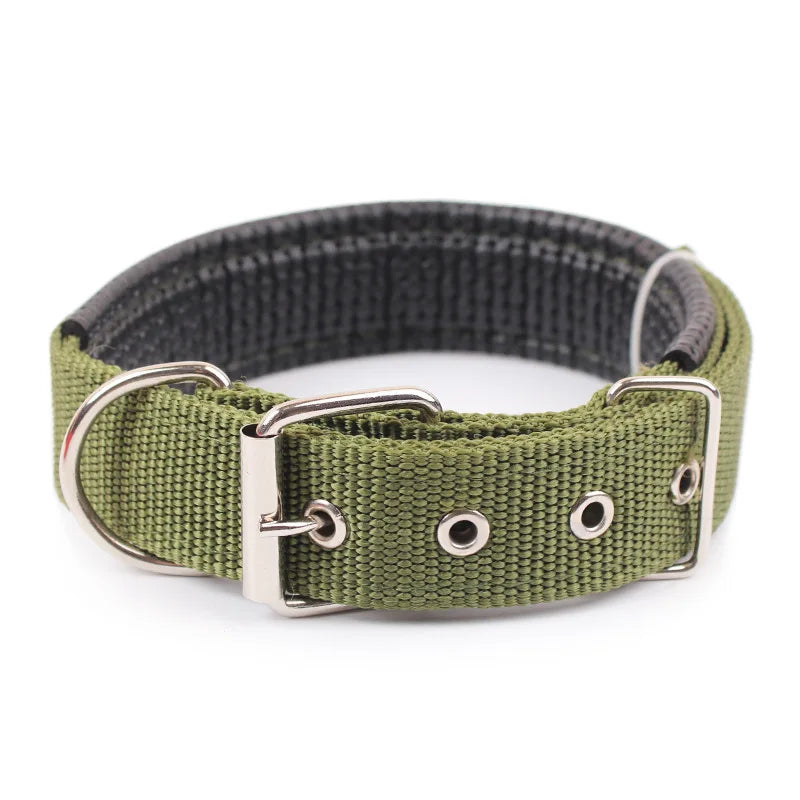 Slitstarkt Nylonhalsband för Hund – Justerbart & Bekvämt för Alla Storleka