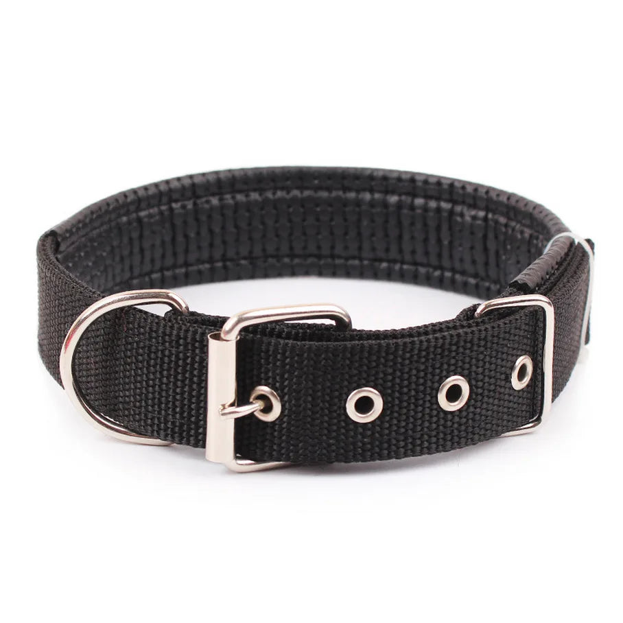 Slitstarkt Nylonhalsband för Hund – Justerbart & Bekvämt för Alla Storleka