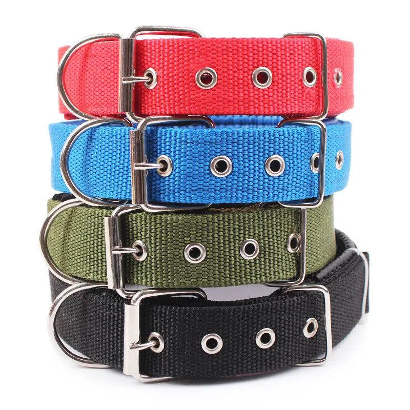 Slitstarkt Nylonhalsband för Hund – Justerbart & Bekvämt för Alla Storleka
