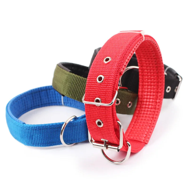 Slitstarkt Nylonhalsband för Hund – Justerbart & Bekvämt för Alla Storleka