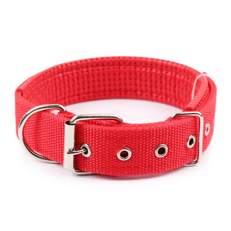 Slitstarkt Nylonhalsband för Hund – Justerbart & Bekvämt för Alla Storleka