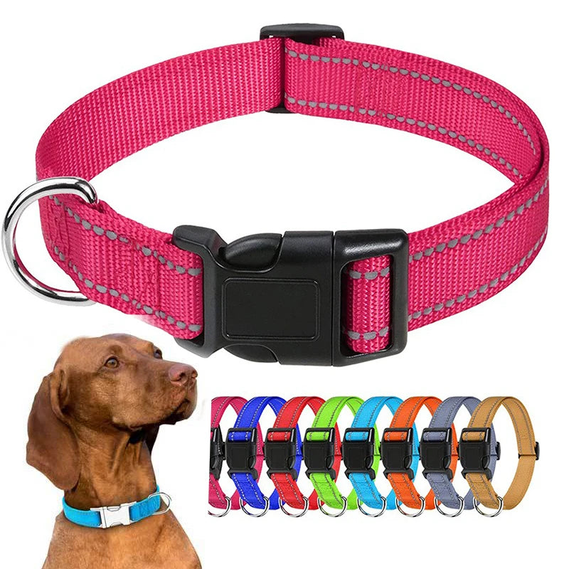 Hållbart Hundhalsband med Spänne – Justerbart och Stilrent för Valpar och Vuxna Hundar i Alla Storlekar