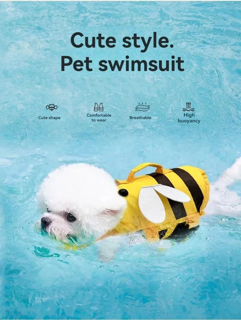 strandutrustning för hund
