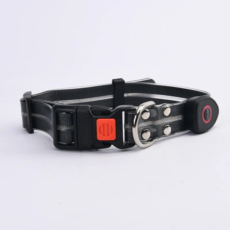 Reflekterande & Blinkande LED-Halsband med Koppel – för Säkra Kvällspromenader