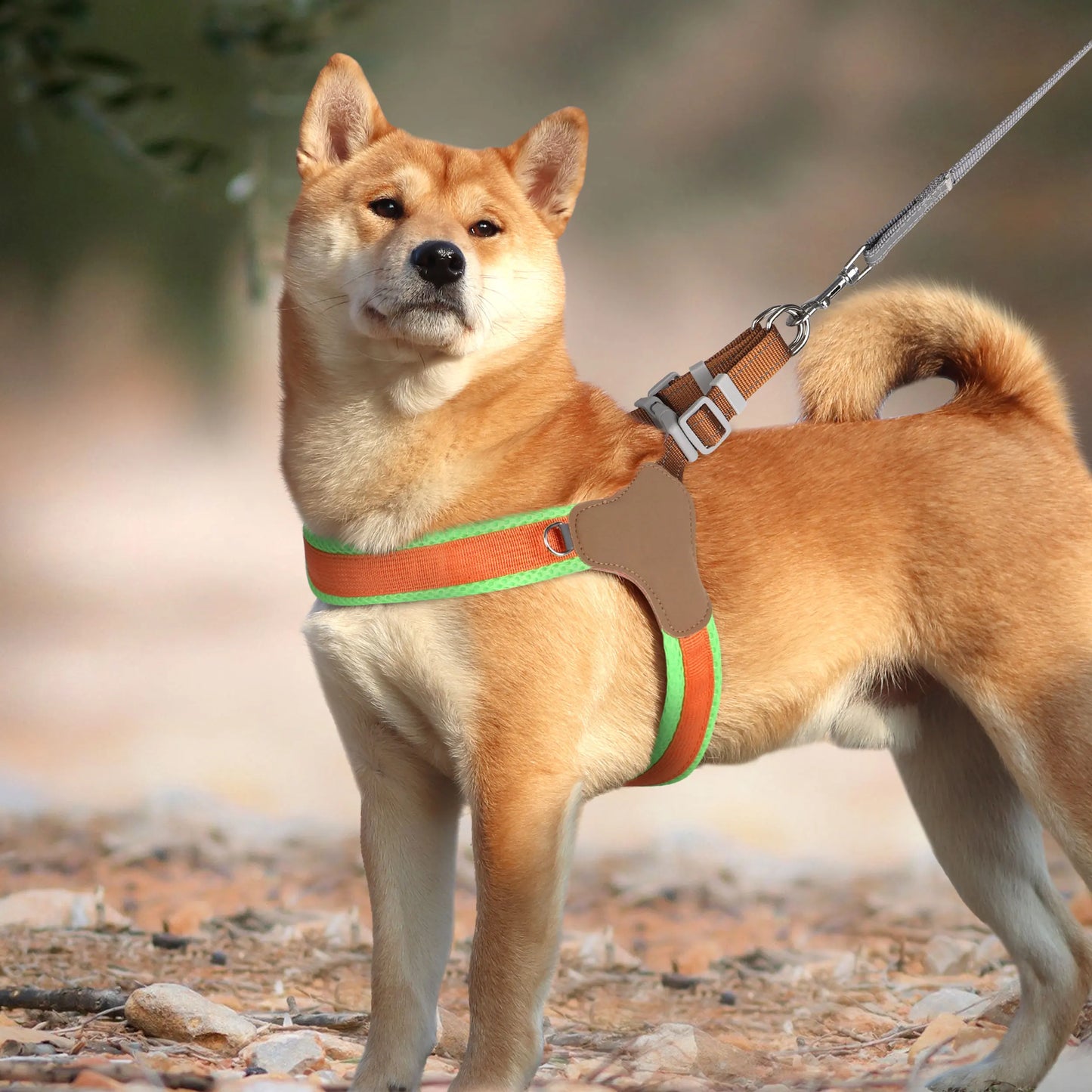 Reflekterande Hundsele i Nylon och Mesh för Alla Storlekar
