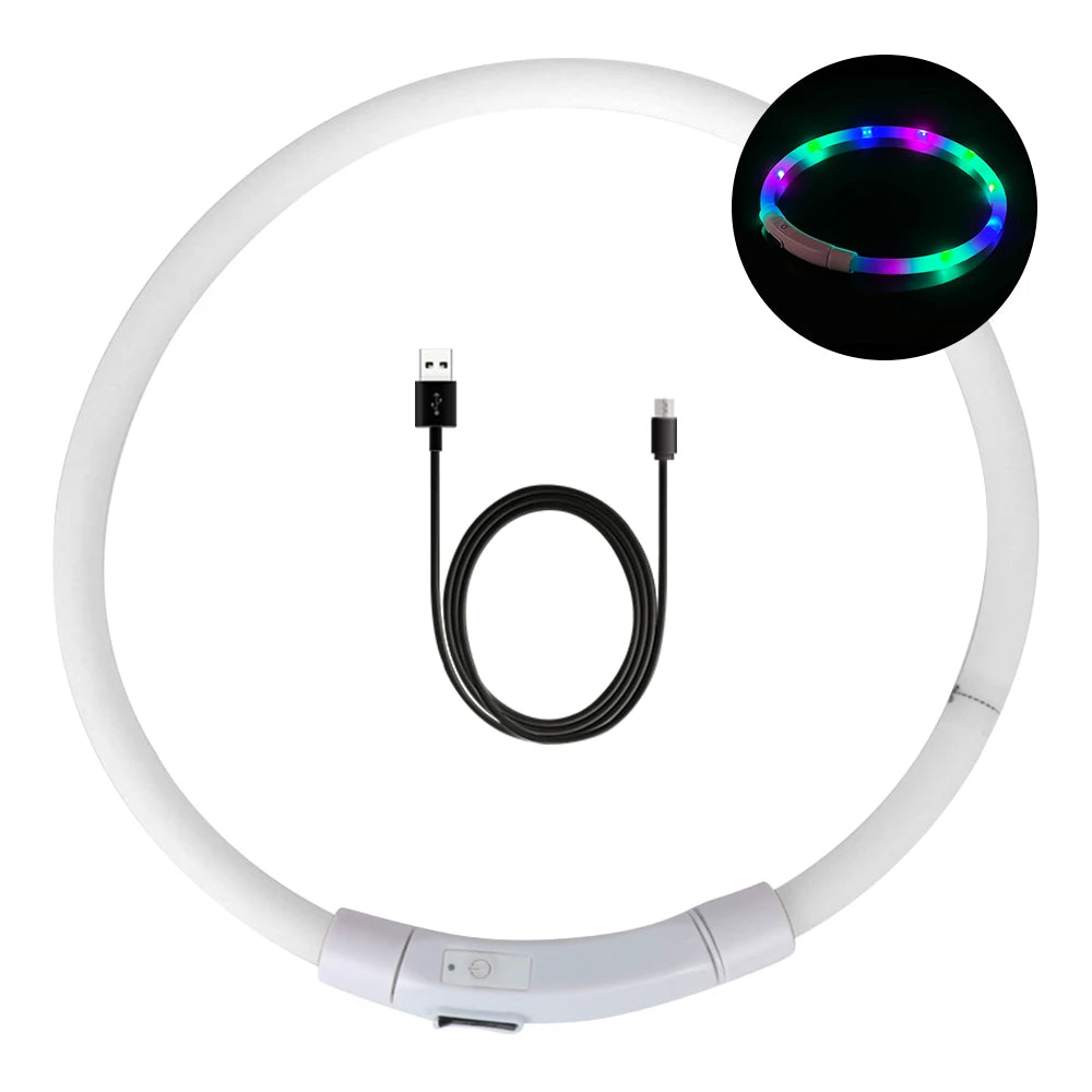 led hundhalsband usb laddning säkerhet synlighet mörker
