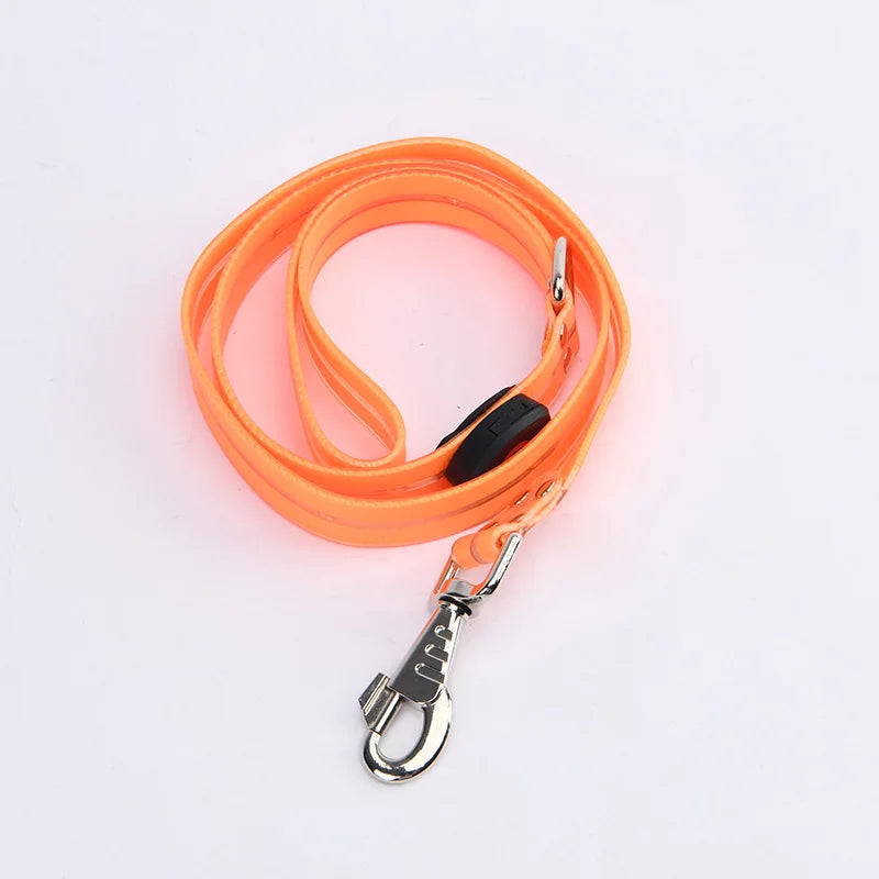 Reflekterande & Blinkande LED-Halsband med Koppel – för Säkra Kvällspromenader