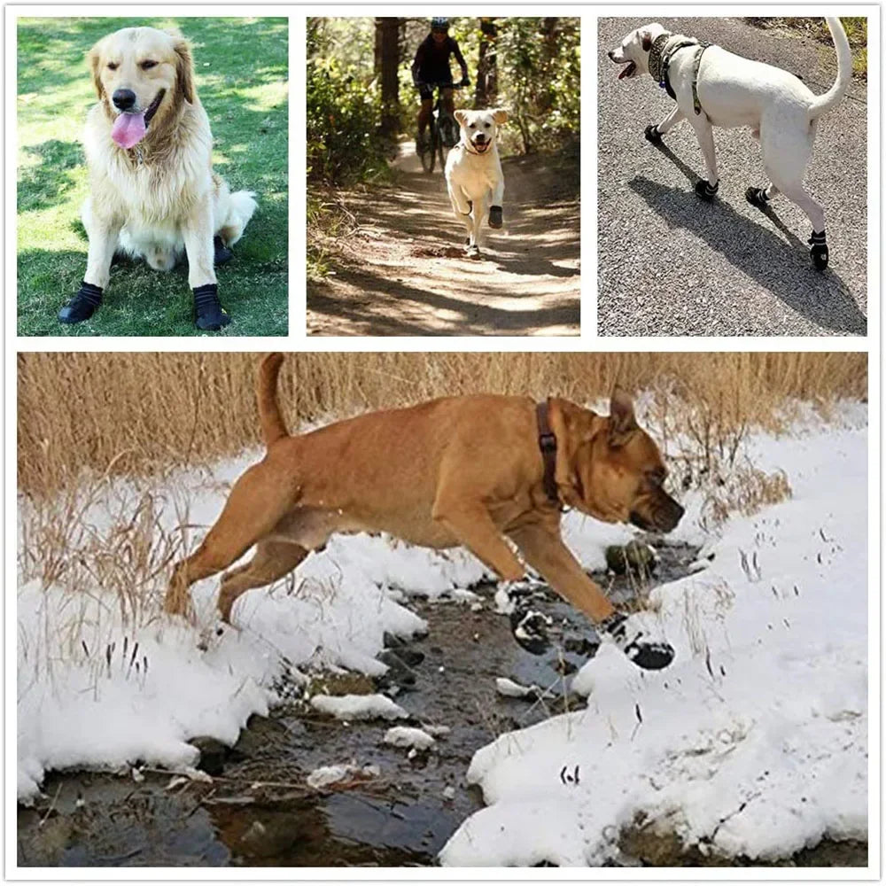 Vattentäta Hundskor – Halksäkra Gummiskor med Reflex - Skydd för Tassar i Snö & Värme – 4-pack