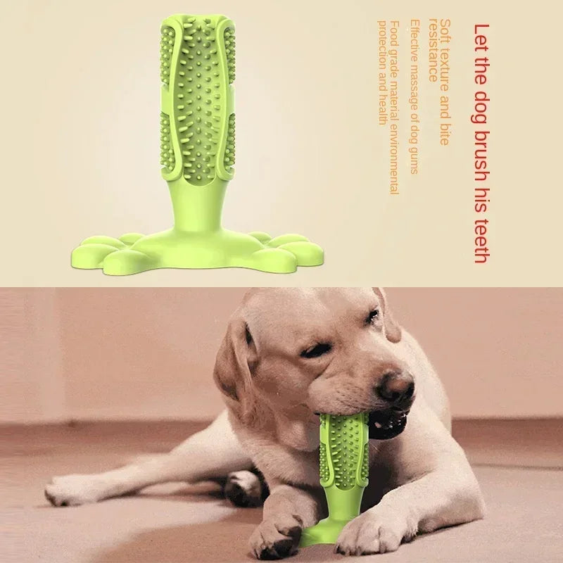 Interaktiv Tuggleksak för Hund – Tandborstleksak i Gummi med Godisdispenser