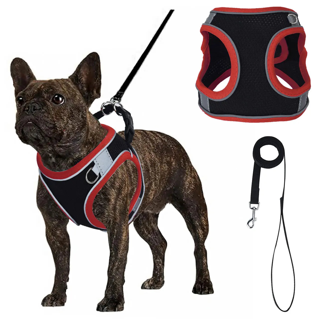 Justerbar Västsele i Mesh till Hund – Svart med Färgglada Detaljer