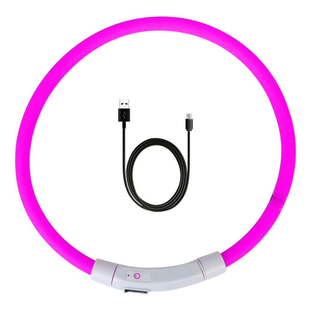 led hundhalsband usb laddning säkerhet synlighet mörker