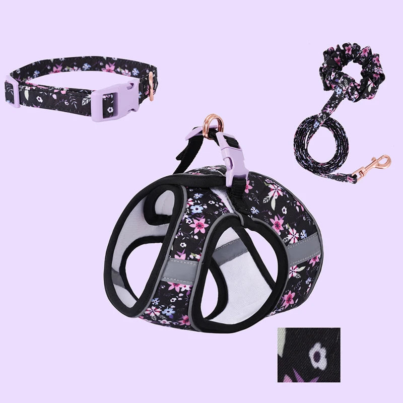 Reflexsele, Halsband och Handsfree-koppel för Hund eller Katt – Justerbar, Bekväm och Säker