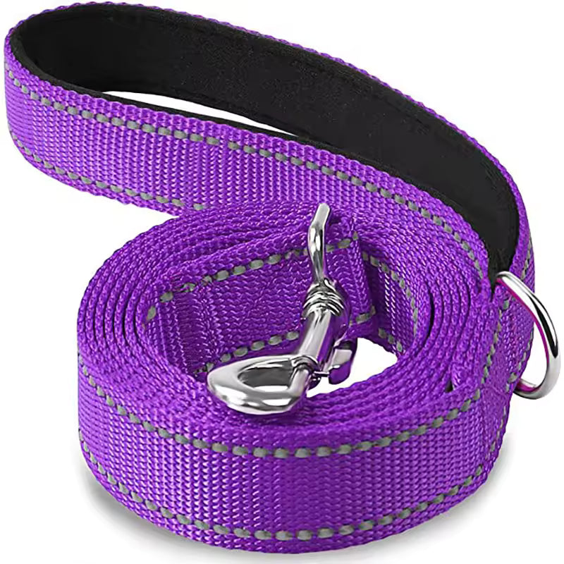 Reflekterande Koppel för Hund & Katt – Slitstarkt Polyester för Promenad & Träning