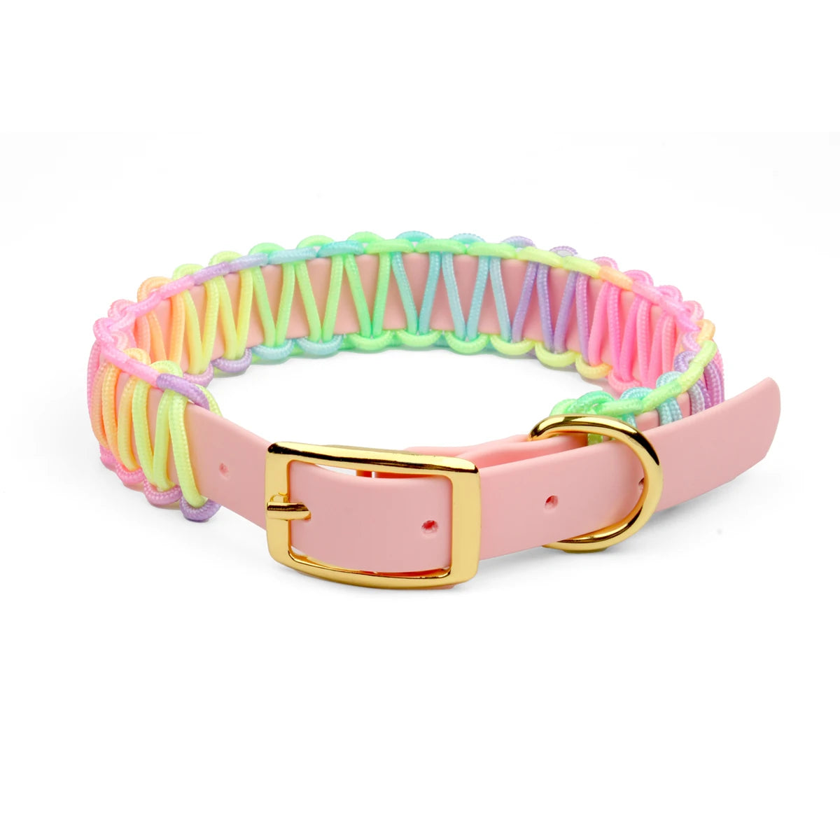 Justerbart Hundhalsband och Koppelset i PVC och Flätad Nylon – Färgglatt och Slitstarkt