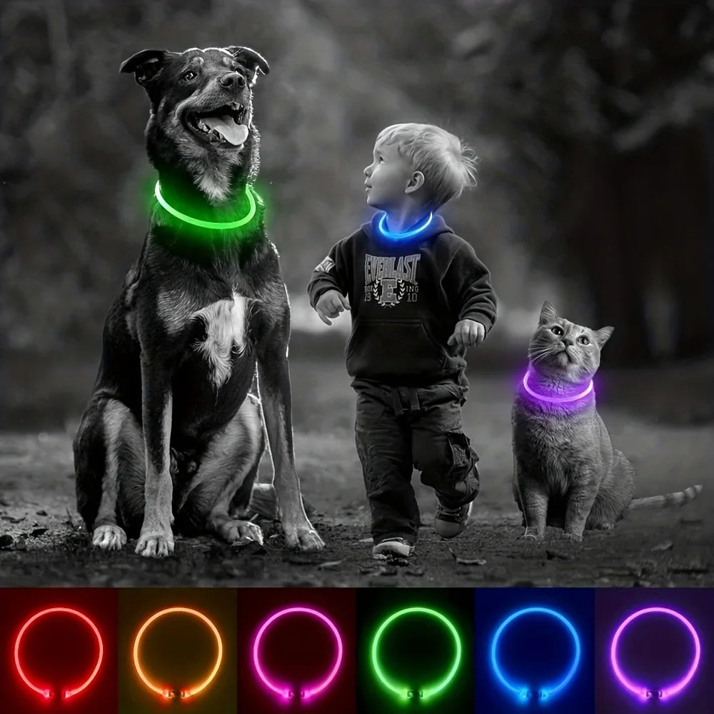 LED Hundhalsband med USB-laddning – Synlighet & Säkerhet i Mörker
