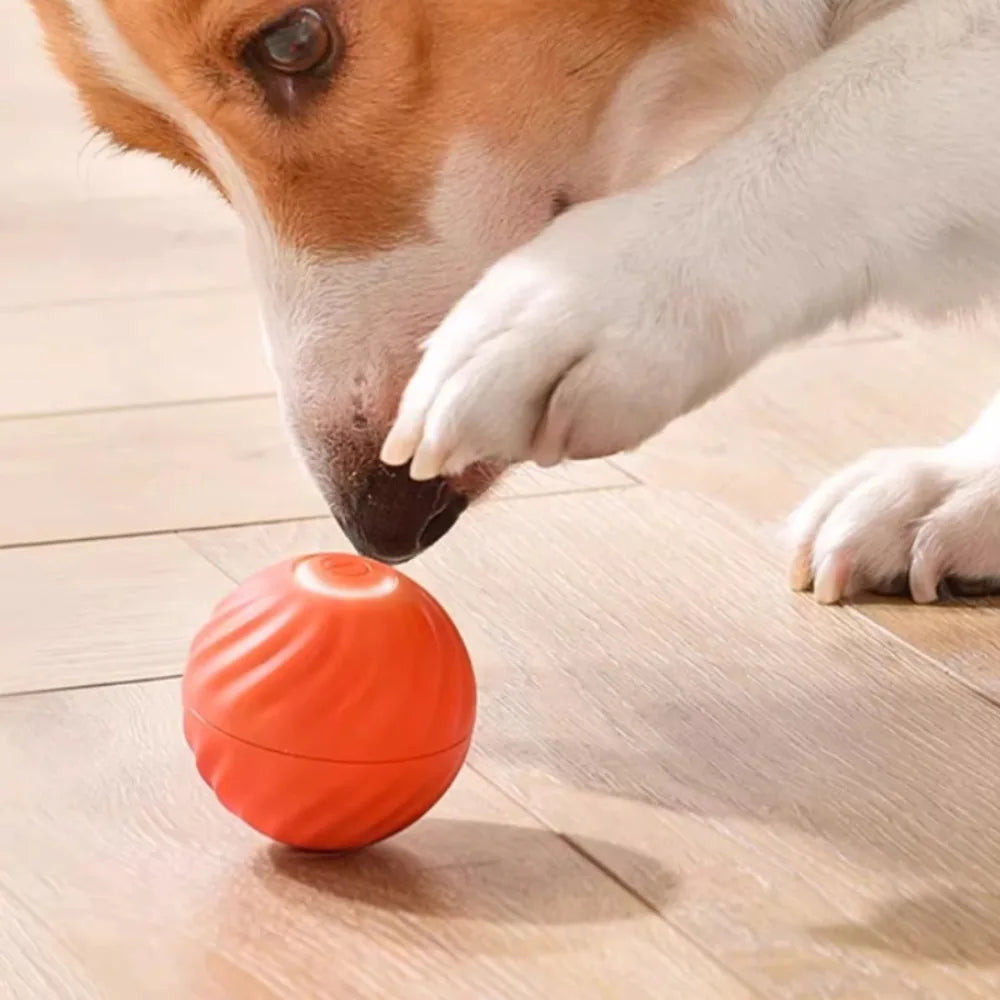 Intelligent Hoppande Hundboll – USB-laddningsbar Interaktiv Boll för Valpar och Små Hundar