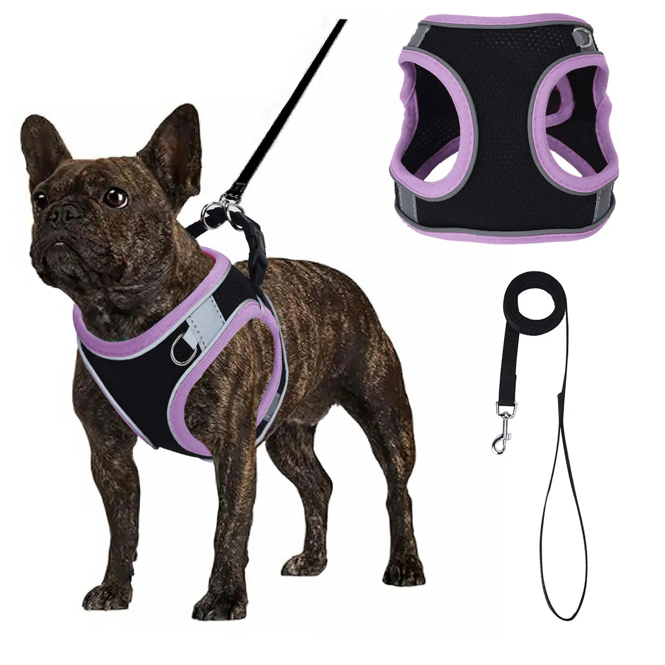 Justerbar Västsele i Mesh till Hund – Svart med Färgglada Detaljer