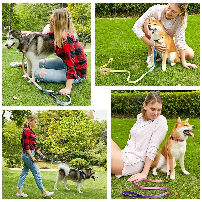 Färgglatt Hundkoppel & Halsband – Justerbart Nylonsset