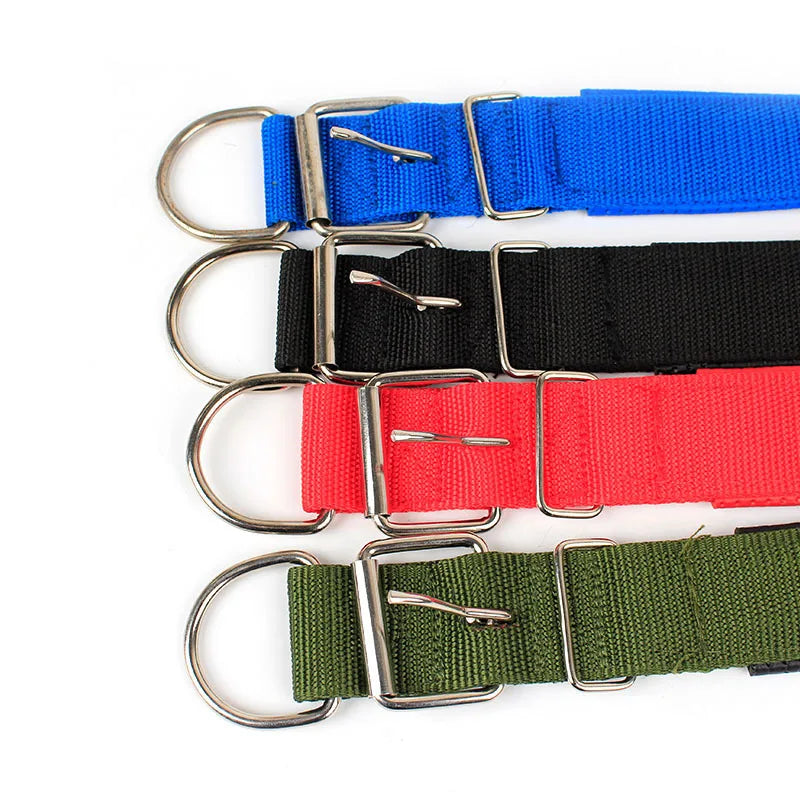 Slitstarkt Nylonhalsband för Hund – Justerbart & Bekvämt för Alla Storleka