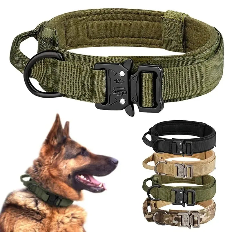 Taktiskt Hundhalsband i Slitstarkt Nylon – Justerbart med Metallspänne för Träning & Aktivitet