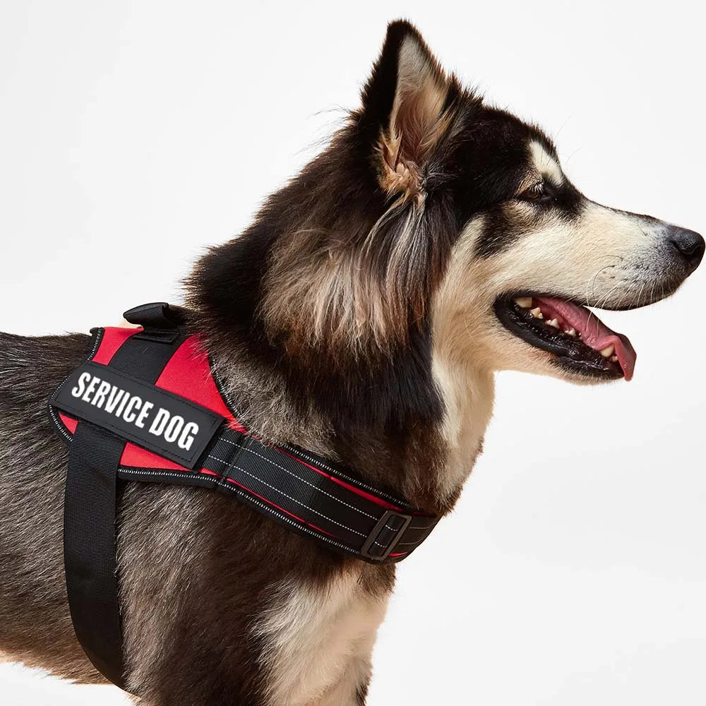 Reflekterande Hundsele med Anti-Drag-Design – Komfort, Säkerhet och Kontroll