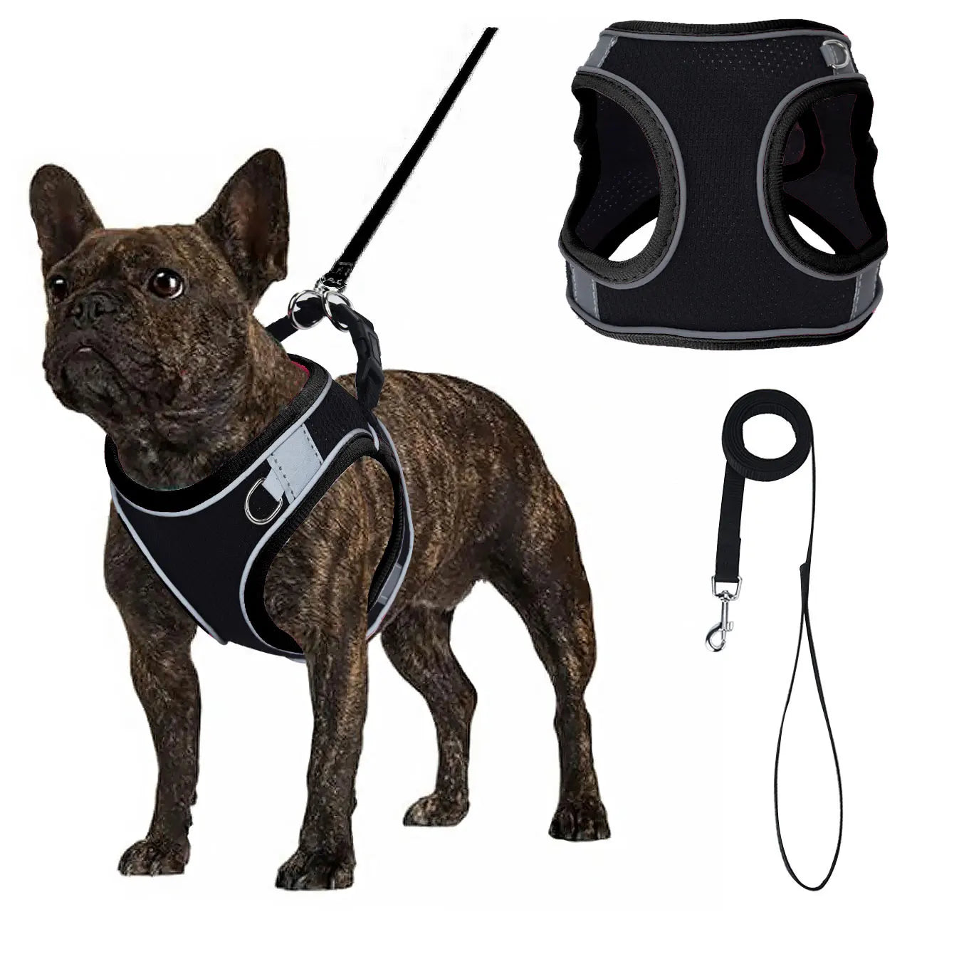Justerbar Västsele i Mesh till Hund – Svart med Färgglada Detaljer