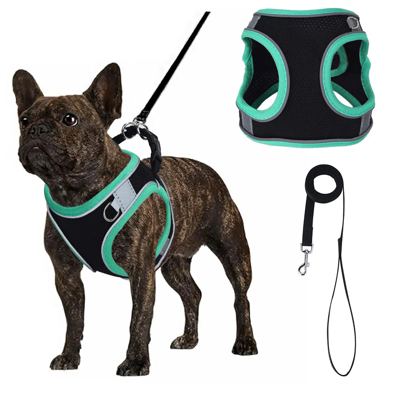 Justerbar Västsele i Mesh till Hund – Svart med Färgglada Detaljer