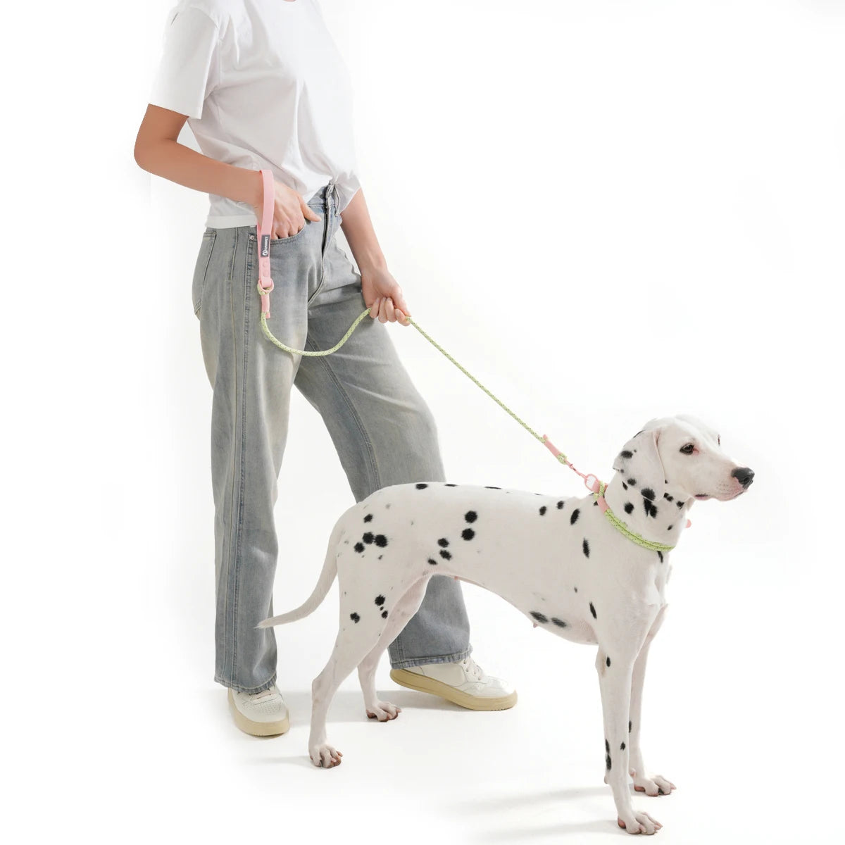 Populärt Justerbart Halsbands- och Koppelset i Reflekterande Nylon – Hundpromenad i Somrig Design