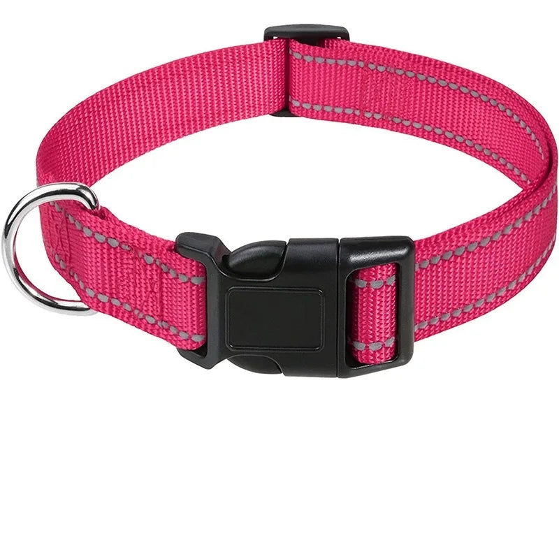 Hållbart Hundhalsband med Spänne – Justerbart och Stilrent för Valpar och Vuxna Hundar i Alla Storlekar