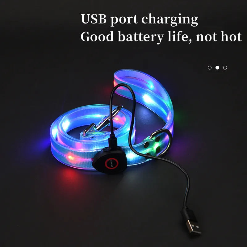 Reflekterande & Blinkande LED-Halsband med Koppel – för Säkra Kvällspromenader