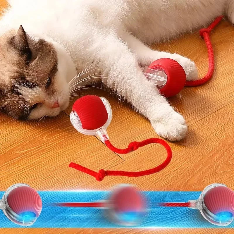 Elektrisk Interaktiv Boll för Katt och Hund – Smart Rullande Husdjursleksak med USB