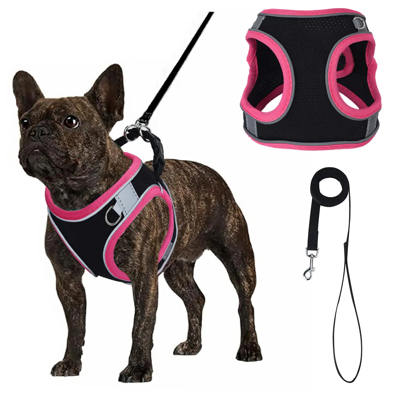 Justerbar Västsele i Mesh till Hund – Svart med Färgglada Detaljer
