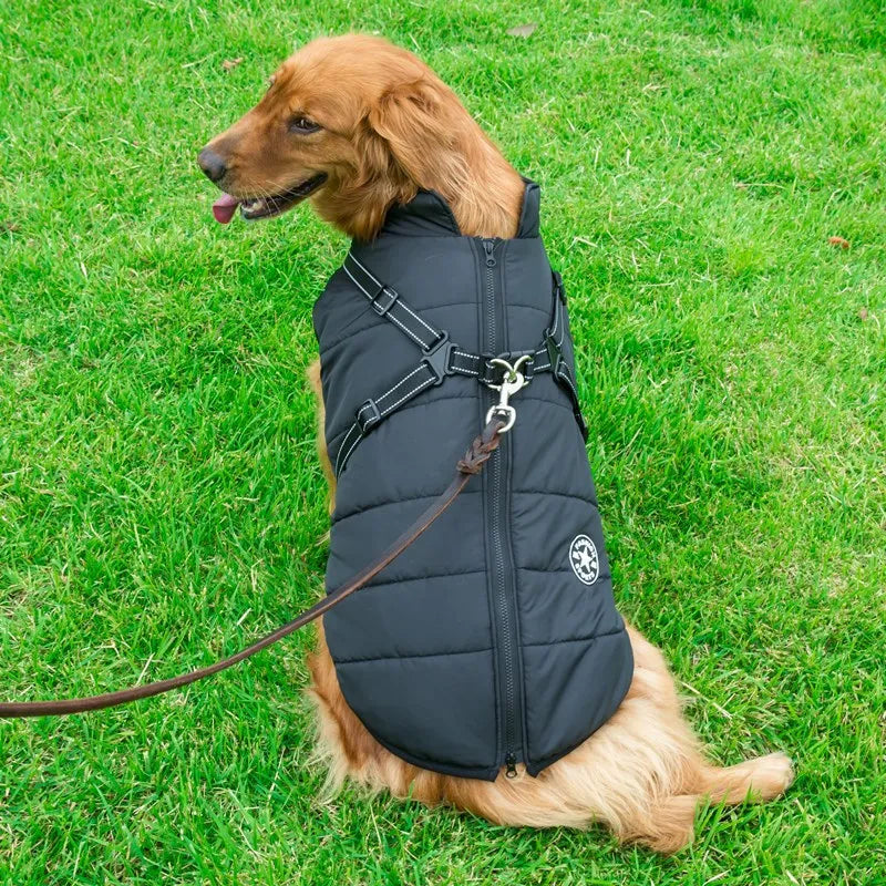 Vattentät Vinterjacka till Hund med Integrerad Sele – Varm, Bekväm och Justerbar