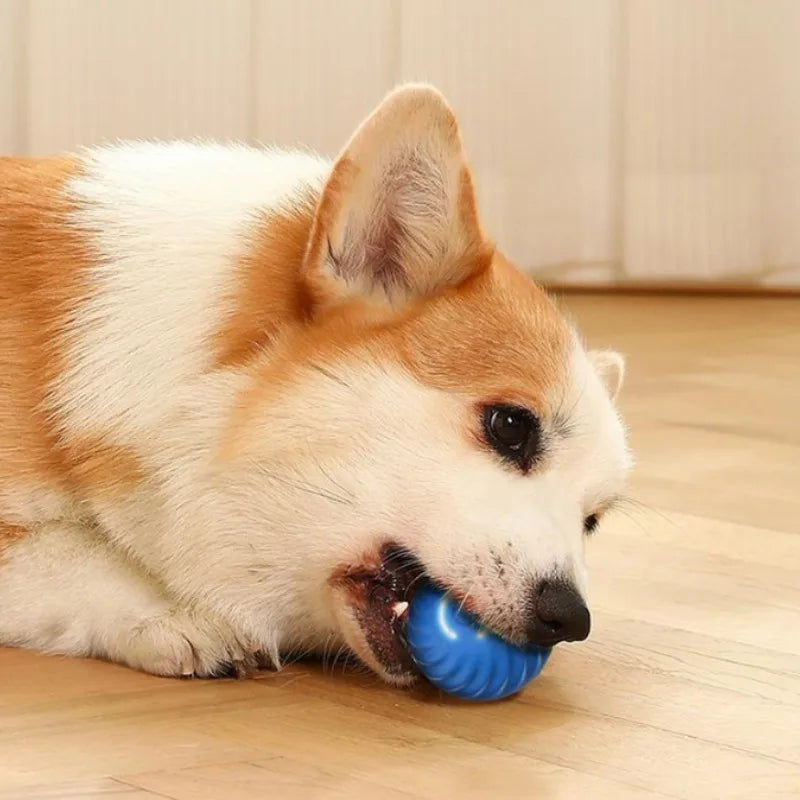 Intelligent Hoppande Hundboll – USB-laddningsbar Interaktiv Boll för Valpar och Små Hundar