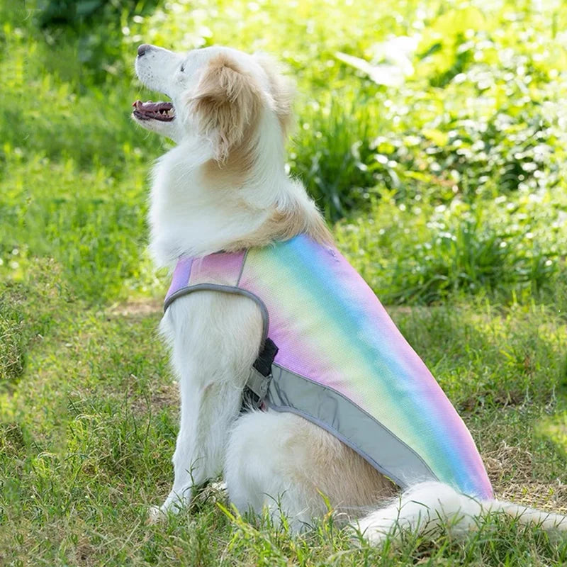 Sommarväst med Snabb Kyla för Hund – Regnbågsfärgad Andningsbar Väst