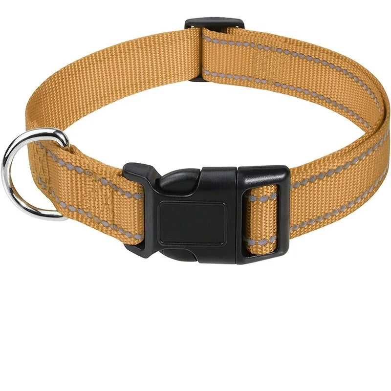 Hållbart Hundhalsband med Spänne – Justerbart och Stilrent för Valpar och Vuxna Hundar i Alla Storlekar