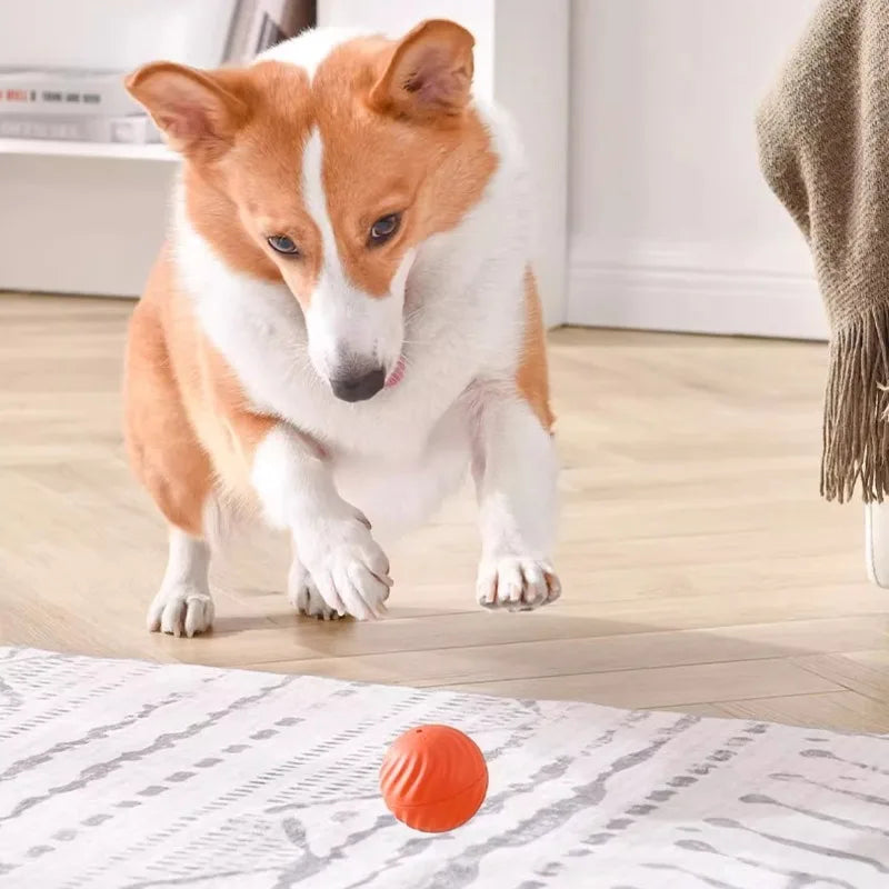Intelligent Hoppande Hundboll – USB-laddningsbar Interaktiv Boll för Valpar och Små Hundar