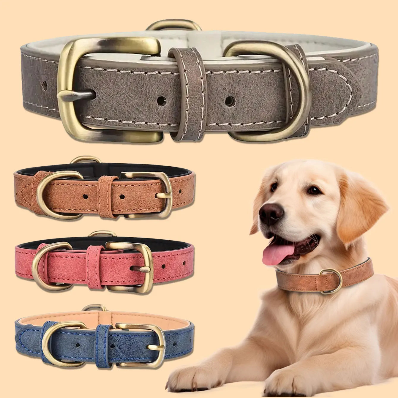 Hundhalsband i Vintagestil – Stilfullt och Tidlöst för Din Hund