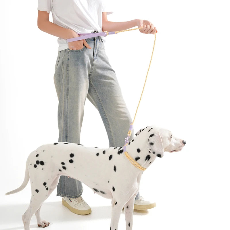 Populärt Justerbart Halsbands- och Koppelset i Reflekterande Nylon – Hundpromenad i Somrig Design
