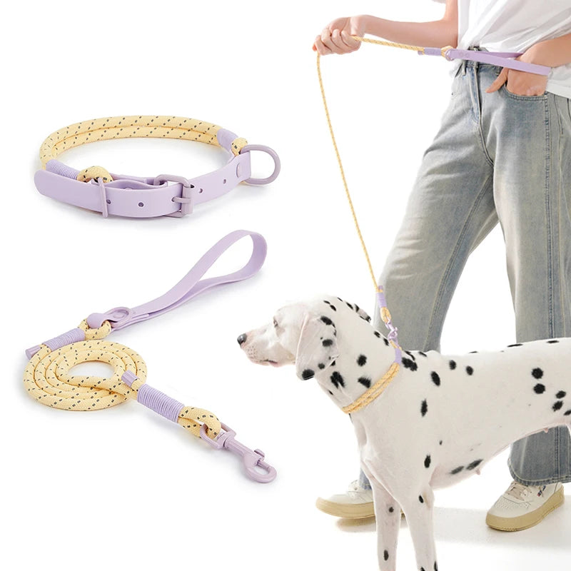 Populärt Justerbart Halsbands- och Koppelset i Reflekterande Nylon – Hundpromenad i Somrig Design