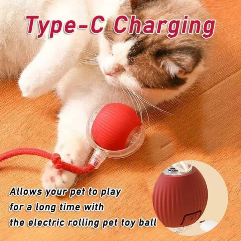Elektrisk Interaktiv Boll för Katt och Hund – Smart Rullande Husdjursleksak med USB