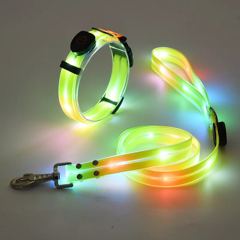Reflekterande & Blinkande LED-Halsband med Koppel – för Säkra Kvällspromenader